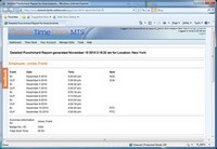The Detailed Punchcard Report Screenshot