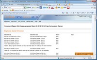 The Punchcard With Notes Report Screenshot