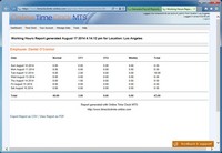 The Working Hours Report Screenshot